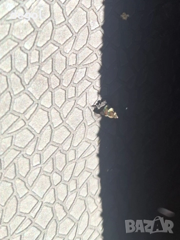 Continental Premium Contact7 225 45 17 91V Dot 5323 Забележки прочети!, снимка 12 - Гуми и джанти - 51561556