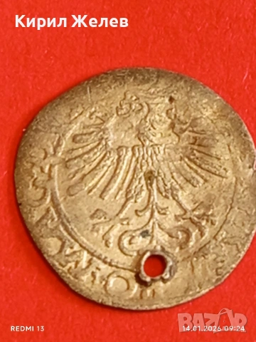 Сребърна монета 1/2 Грош 1562г. Сигизмунд втори Литва за КОЛЕКЦИЯ 52900, снимка 10 - Нумизматика и бонистика - 53092833