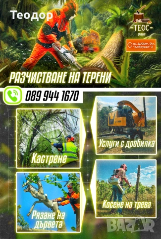 Събаряне на опасни дървета, мулчиране и дробене на клони – Варна, снимка 12 - Хамалски услуги - 53670312