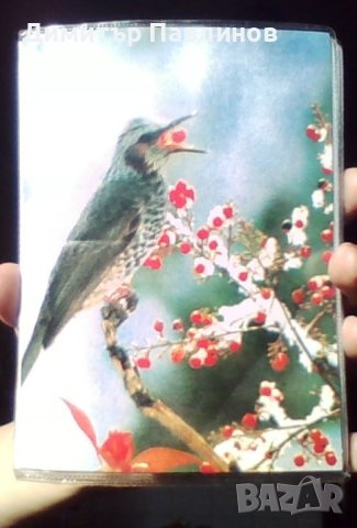 Фотоалбум, снимка 5 - Фотографи - 41415394