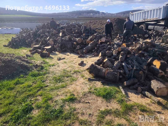 Дърва за огрев-безплатен траспорт, снимка 2 - Дърва за огрев - 52947072