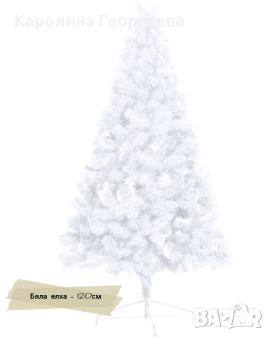 Бяла коледна елха