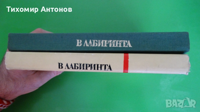 Стефан Дичев - Пътят към София;  В лабиринта, снимка 10 - Художествена литература - 43989061