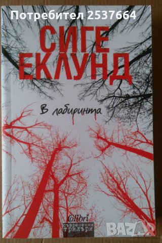 В лабиринта   Сиге Еклунд, снимка 1 - Художествена литература - 35986360