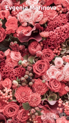 отдавам двустаен апартамент, обзаведен,ТЕЦ на ул Самуил, снимка 1