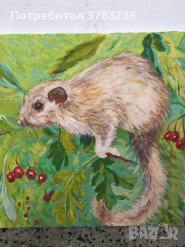 картини с маслени бои, снимка 11 - Картини - 51357899