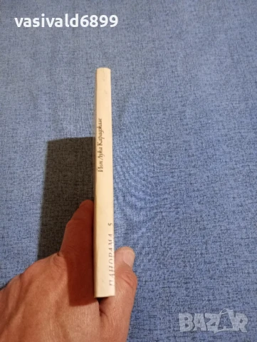 Йон Лука Караджале - Веригата на слабостите , снимка 2 - Художествена литература - 50540340