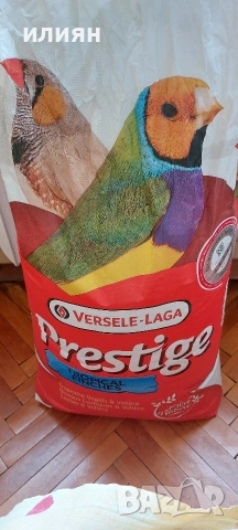 Среброклюни,Японски,Гулдови амадини, снимка 9 - Амадини - 53488807