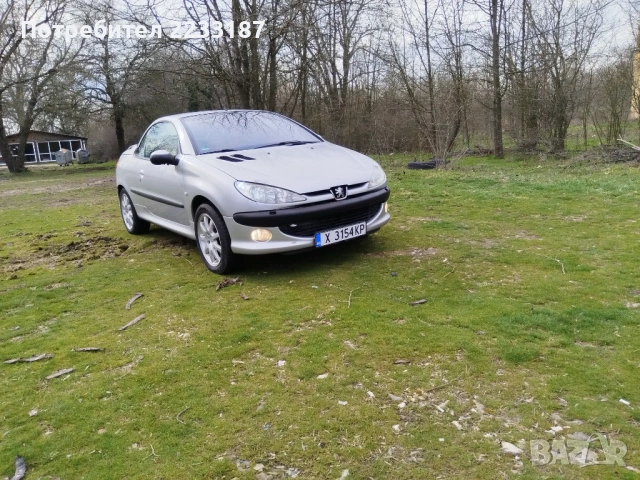 Пежо 206 CC, снимка 12 - Автомобили и джипове - 53596403