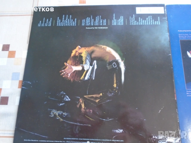 плочи Van Halen, снимка 4 - Грамофонни плочи - 53629348