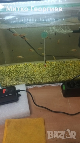 аквариум за рибки , снимка 2 - Аквариуми - 52092029