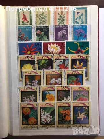 Класьор с марки на тема "Цветя", снимка 10 - Филателия - 53611717