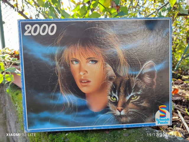 пъзели, снимка 3 - Пъзели - 52871099