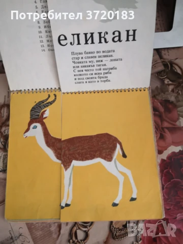 От А до Я - Забавна азбука, снимка 2 - Образователни игри - 51300480