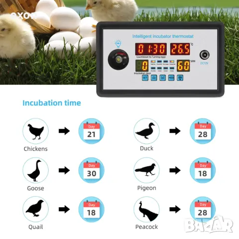 Интелигентен термостат за инкубатор