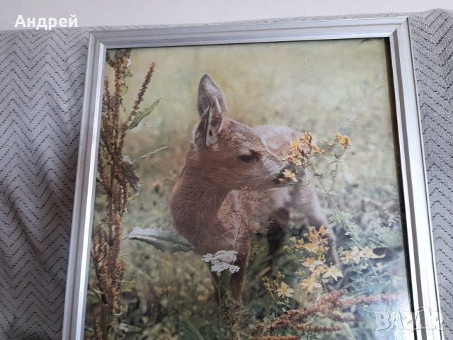 Стара снимка #17, снимка 2 - Други ценни предмети - 44480387