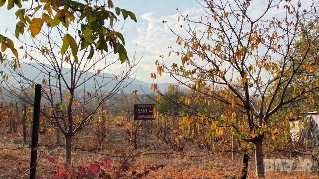 Парцел 5.569 дка, снимка 3 - Земеделска земя - 21969675