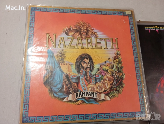 Грамофонни плочи LP,s, снимка 13 - Грамофонни плочи - 52920305