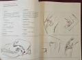 Atlas of Small Animal Surgery. Surgical Techniques for Practitioners, снимка 6