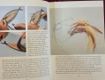 Справочник на рибарските стръв и примамки / Pocket Guide to Bait and Lures, снимка 11