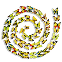 12 микс малки цветни едноцветни пеперуди pvc за украса декорация, снимка 7 - Други - 33551041