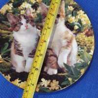 Колекционерски чинии за стена с котки , снимка 14 - Декорация за дома - 39749553