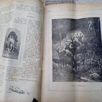 Списание "Природа",Първи брой,1893г., снимка 10 - Антикварни и старинни предмети - 35869889