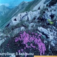 Природните паркове на България, пътуване в картини, снимка 1 - Енциклопедии, справочници - 34108807