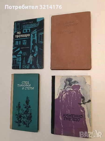 Каменно гнездо - Димитър Мантов, снимка 1