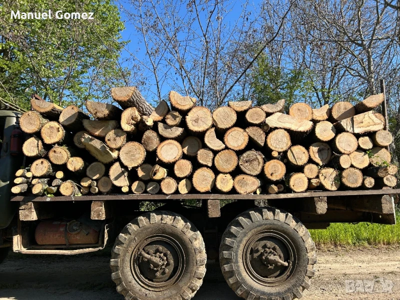 дърва за огрев , снимка 1