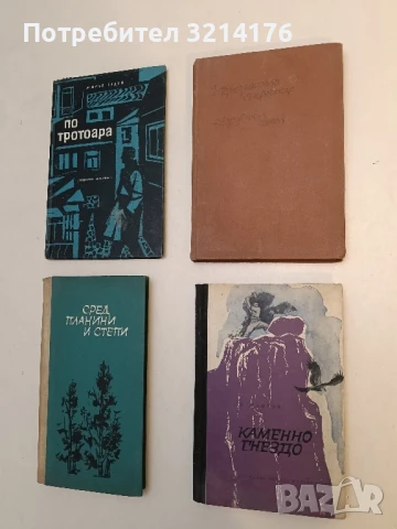 Каменно гнездо - Димитър Мантов