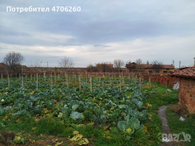 Къща в с черна гора, снимка 15 - Къщи - 53066020