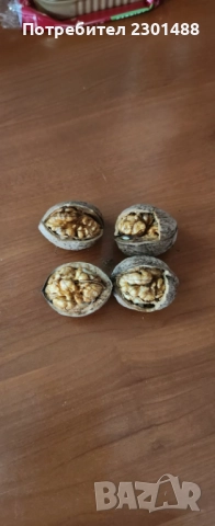 Продавам пресни орехи, снимка 4 - Домашни продукти - 52367066