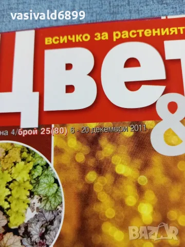 Списание "Цветя и дом" 6÷20 12/2011, снимка 2 - Списания и комикси - 56317278