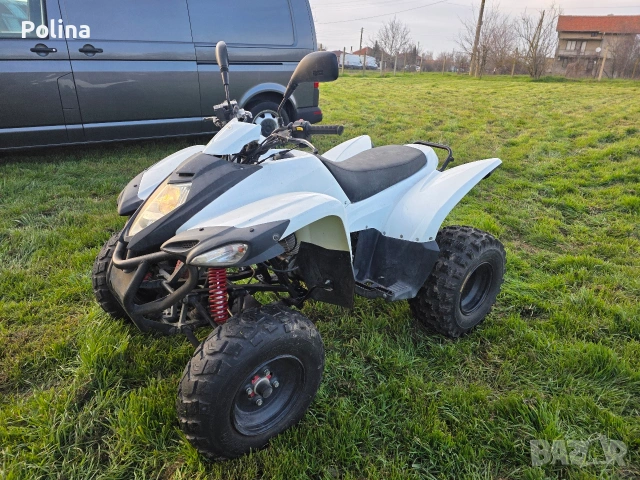 ATV Luxxon 300, снимка 3 - Мотоциклети и мототехника - 53687461
