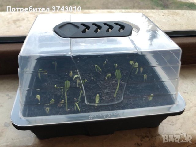 Комплект за отглеждане на разсад - голям - 4.1 л 33.5x20x17.5 cm, снимка 2 - Разсади - 44446435