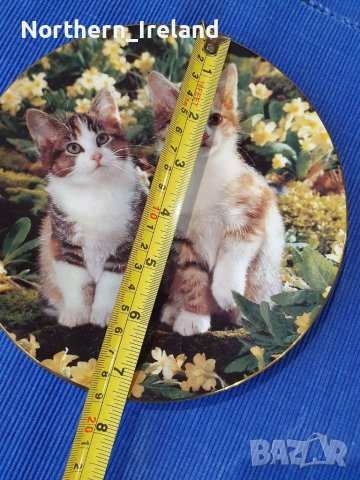 Колекционерски чинии за стена с котки , снимка 14 - Декорация за дома - 39749553