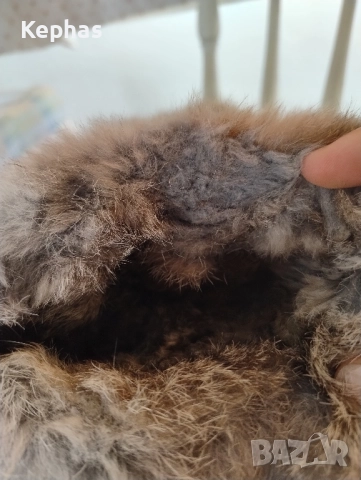 Ботуши естествена кожа, снимка 2 - Дамски боти - 51941050