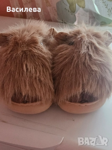 Пантофи Капибара. 