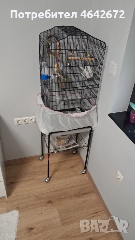 ОБЕЩАН!!! Корела с оборудвана клетка със стойка, снимка 5 - Папагали - 52809444