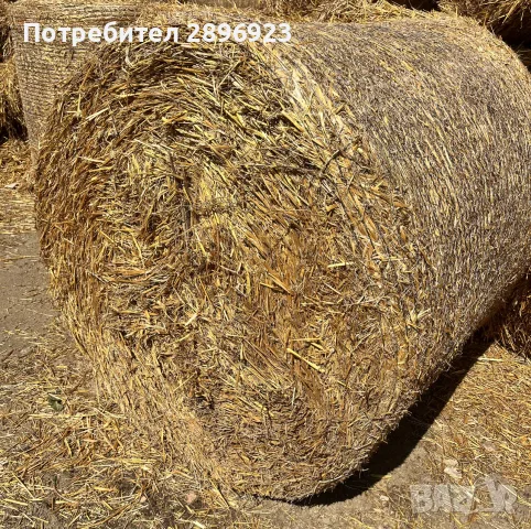 Ролонни Бали Овес и Фий, снимка 2 - За селскостопански - 55845937