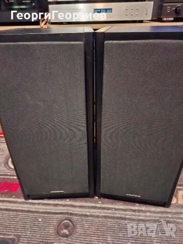 GRUNDIG BX 2000, снимка 7 - Тонколони - 53696887