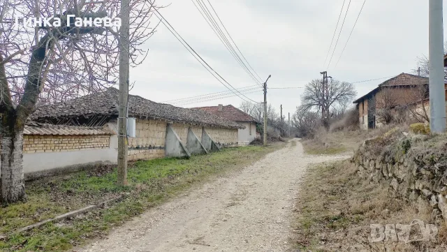 Селска къща с 1345 м² двор, гараж и стопански постройки.  Директно от собственика ., снимка 16 - Къщи - 55993683