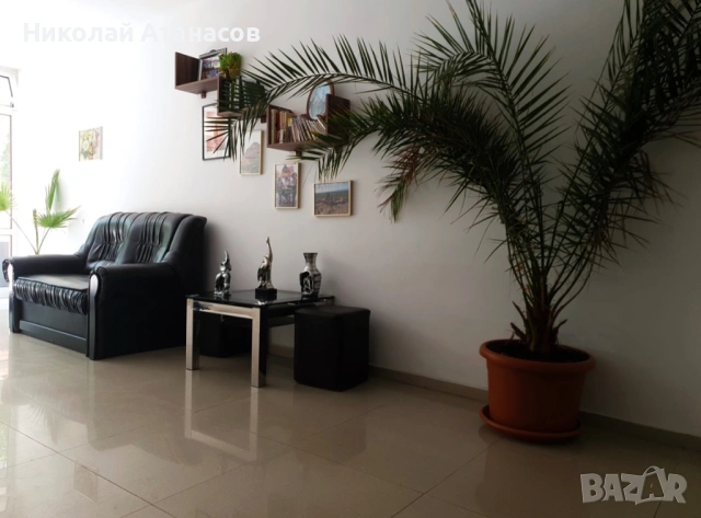 Обзаведено студио в Слънчев бряг – Гербер 1, снимка 3 - Апартаменти - 53823471