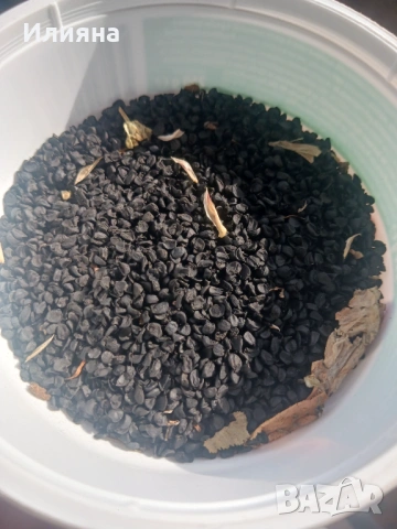 Песто от Коприва,Песто от Левурда,Самардала,Левурда,Лапад,Коприва,Розмарин,Иглика, снимка 10 - Домашни продукти - 44686378