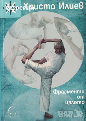 Фрагменти от цялото /Христо Илиев/