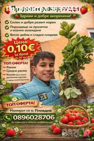 Внимани предлагам расад ягуди и малин