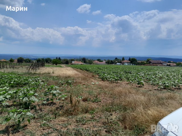 Продавам парцел село Здравец , снимка 2 - Парцели - 41396797