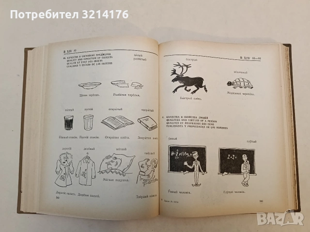 Картинный словарь русского языка - Ю. В. Ванников, А. Н. Щукин (1965), снимка 11 - Чуждоезиково обучение, речници - 53355507