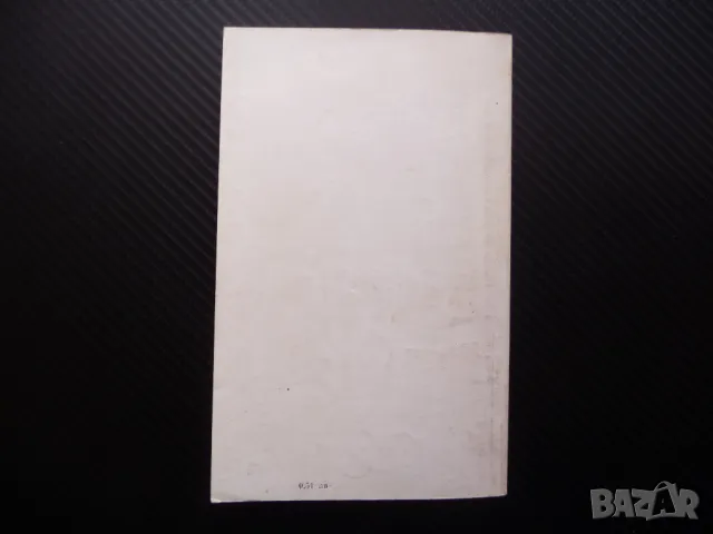 Мечът с червения рубин Петър Стъпов исторически роман, снимка 4 - Художествена литература - 48078959